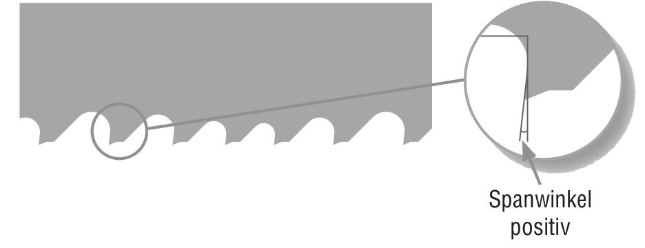Variable Positivverzahnung mit verstärktem Zahnrücken